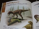 アロサウルス③